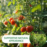 Tomaten Klimhulp Set: Verstelbare Plantensteun voor Komkommer & Bloemen (141-delig, -56%)