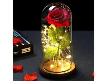 NLIGHTING® Eeuwige roos in kloklook, cadeau voor jou, vriendin, vrouw, Valentijnsdag, eeuwige roos, oneindigheidsroos, bel, glaseffect