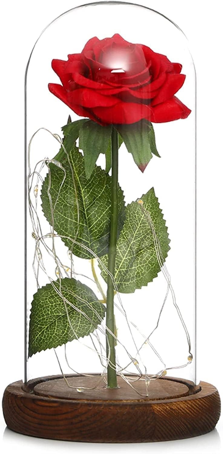 NLIGHTING® Eeuwige roos in kloklook, cadeau voor jou, vriendin, vrouw, Valentijnsdag, eeuwige roos, oneindigheidsroos, bel, glaseffect