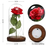 NLIGHTING® Eeuwige roos in kloklook, cadeau voor jou, vriendin, vrouw, Valentijnsdag, eeuwige roos, oneindigheidsroos, bel, glaseffect