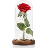 NLIGHTING® Eeuwige roos in kloklook, cadeau voor jou, vriendin, vrouw, Valentijnsdag, eeuwige roos, oneindigheidsroos, bel, glaseffect