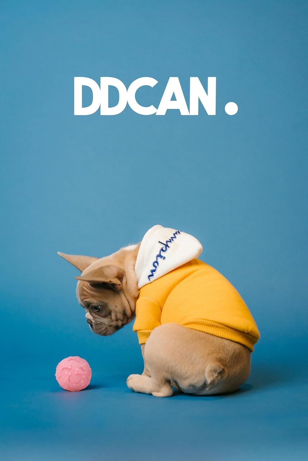 Honden & Katten Speelballen Set (2 stuks) - 25% Korting