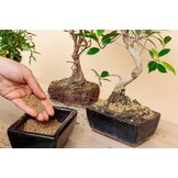 48% Korting: Japanse Akadama Bonsaigrond (1L)