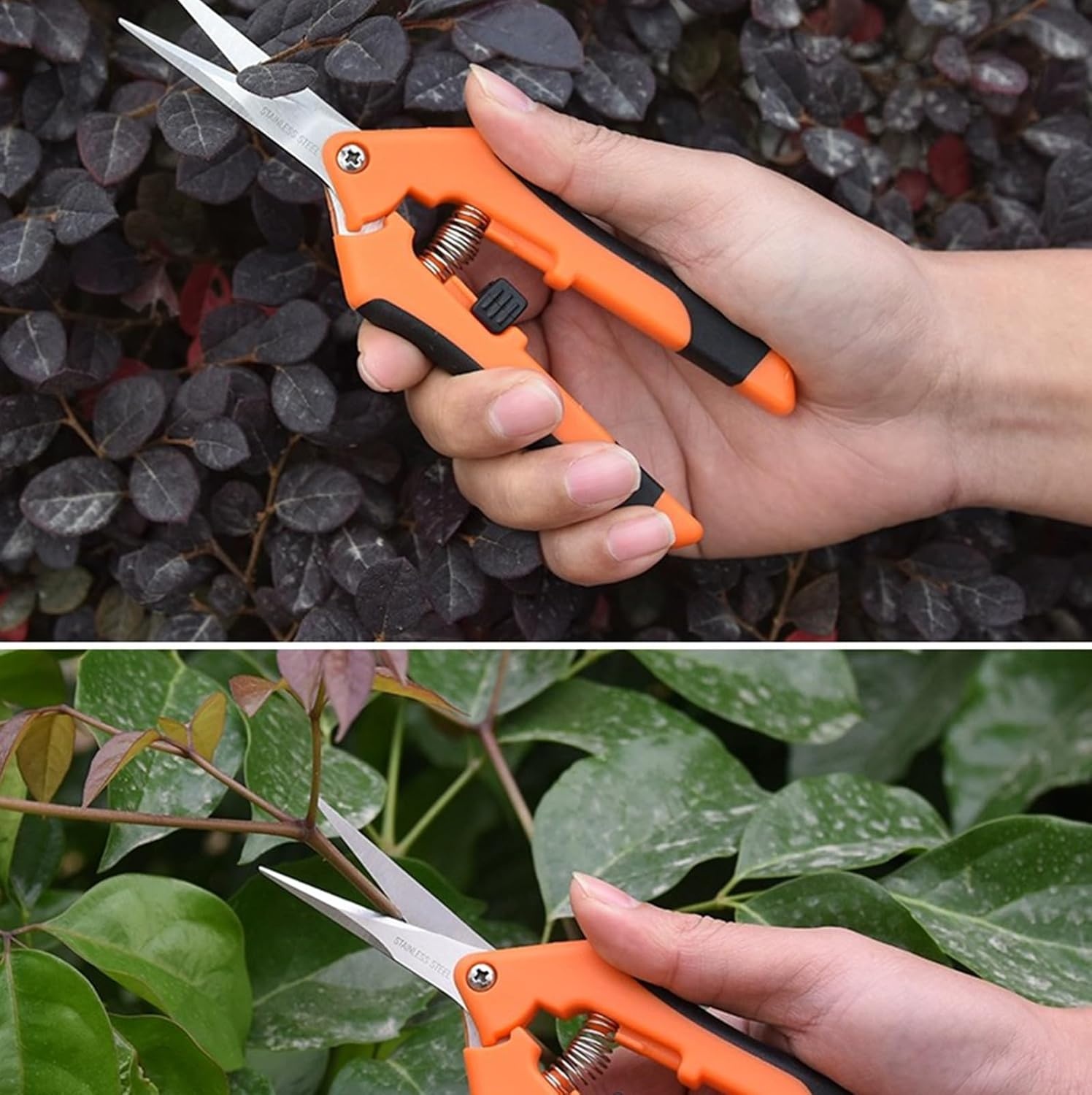 Snoeischaren & Bloemenscharen Set (4x) - 16.5cm - RVS - 47% Korting!