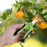 Snoeischaren & Bloemenscharen Set (4x) - 16.5cm - RVS - 47% Korting!