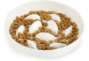 Keramische Slow Feeder Kattenbak - 49% Korting