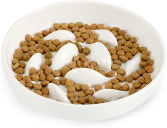 Keramische Slow Feeder Kattenbak met Verhoogde Rand - 27% Korting