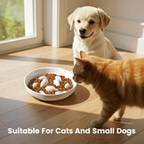 Keramische Slow Feeder Kattenbak met Verhoogde Rand - 27% Korting