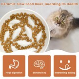 Keramische Slow Feeder Kattenbak met Verhoogde Rand - 27% Korting