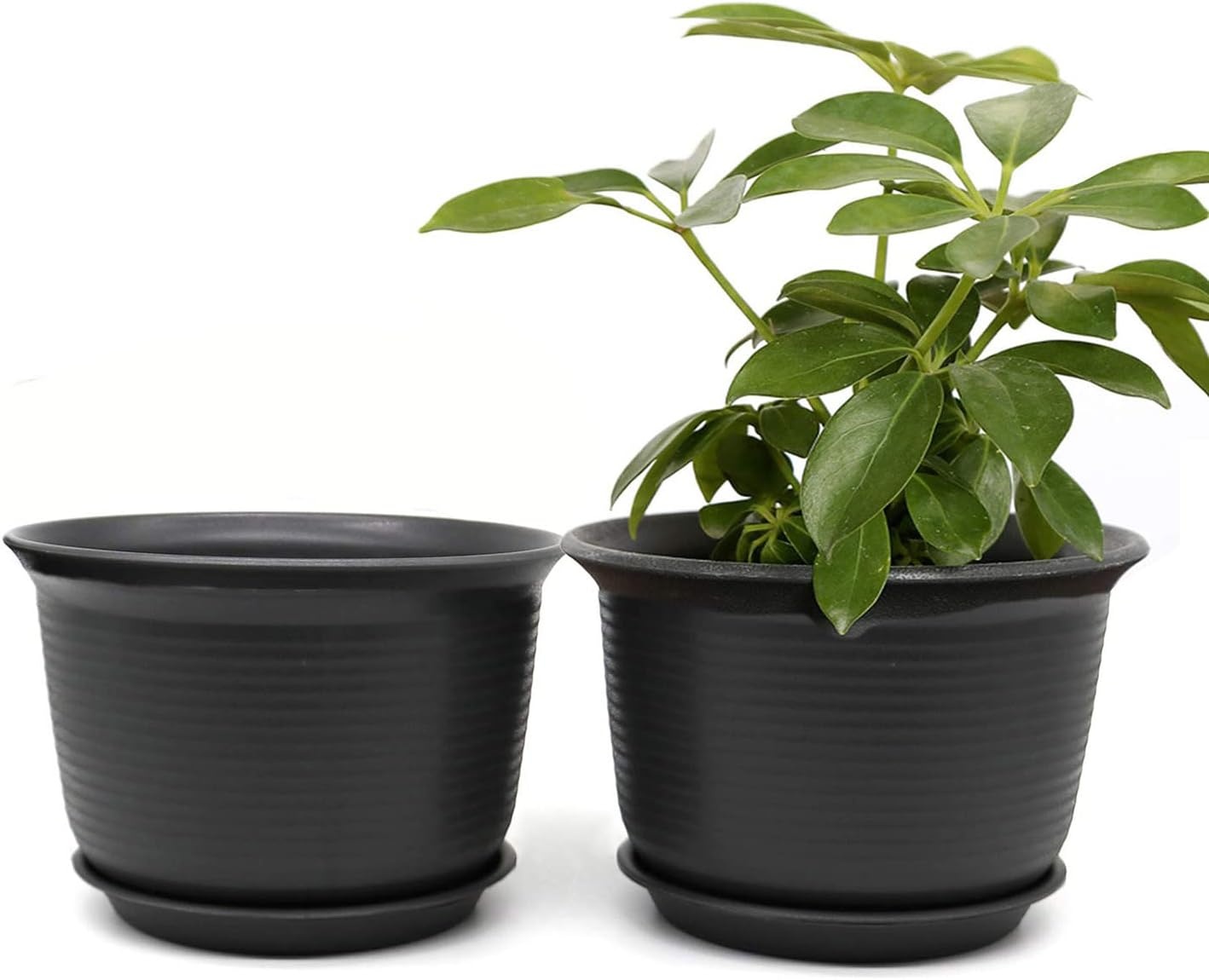 2 Zwarte Bloempotten 15cm met Onderzetter - 65% Korting