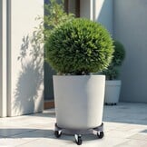 Plantenroller voor Zware Lasten | 36% Korting | 220kg Draagkracht