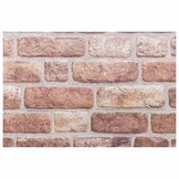 vidaXL 3D Wandpanelen 10 stuks 100x50 cm EPS Bruin - 65% Korting