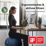Gymnastiekbal 65cm Royal Blue – Ergonomische zitbal voor actief werken & gezonde zithouding