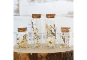 Droogbloemen in Glas (4 stuks) - Natuurlijke Decoratie met 55% Korting