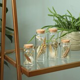 Droogbloemen in Glas (4 Stuks) - Natuurlijke Decoratie met 59% Korting