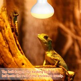 Reptielenlamp 75W UV Warmtelamp Oogvriendelijk voor Hagedis, Schildpad, Baardagaam