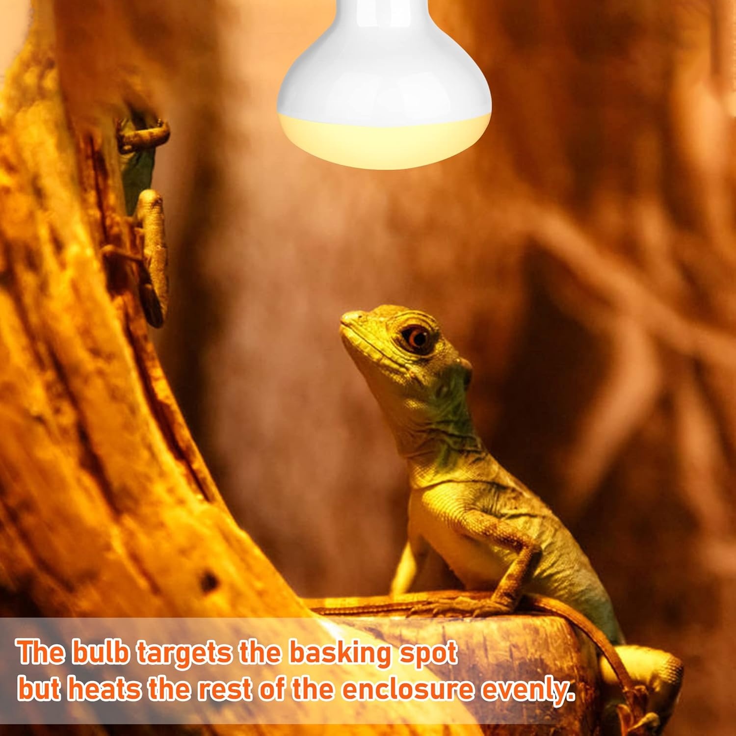 Reptielen Warmtelamp UVB Daglicht Spotlamp 75W - 53% Korting!