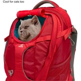 Draagrugzak voor kleine honden en katten, geschikt voor wandelen en reizen, waterdichte bodem, handsfree, tot 11,3 kg, inktblauw