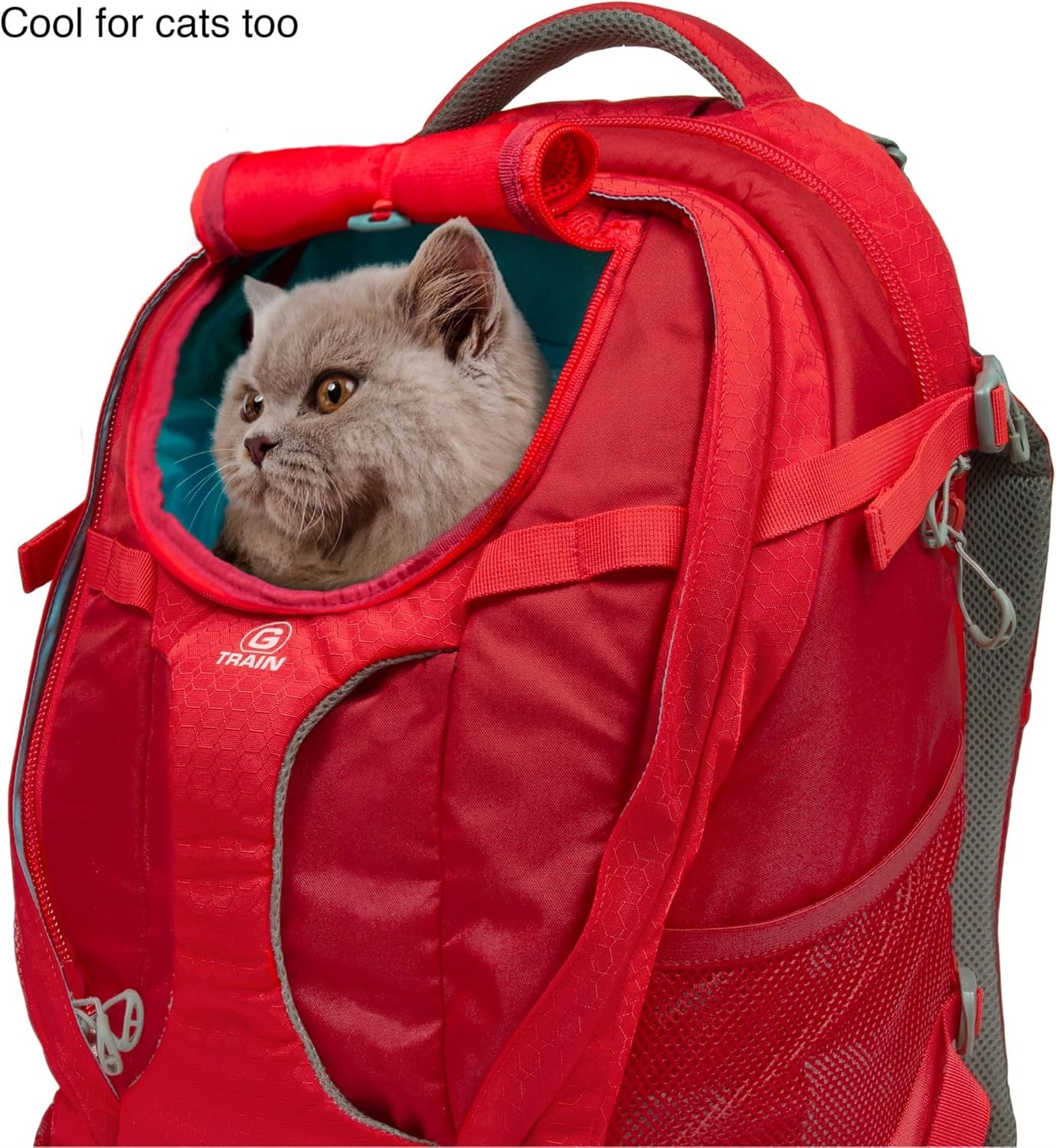 Draagrugzak voor kleine honden en katten, geschikt voor wandelen en reizen, waterdichte bodem, handsfree, tot 11,3 kg, inktblauw
