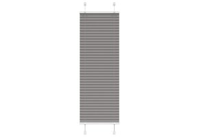 vidaXL Antraciet Plissé Rolgordijn 45x100 cm - 75% Korting
