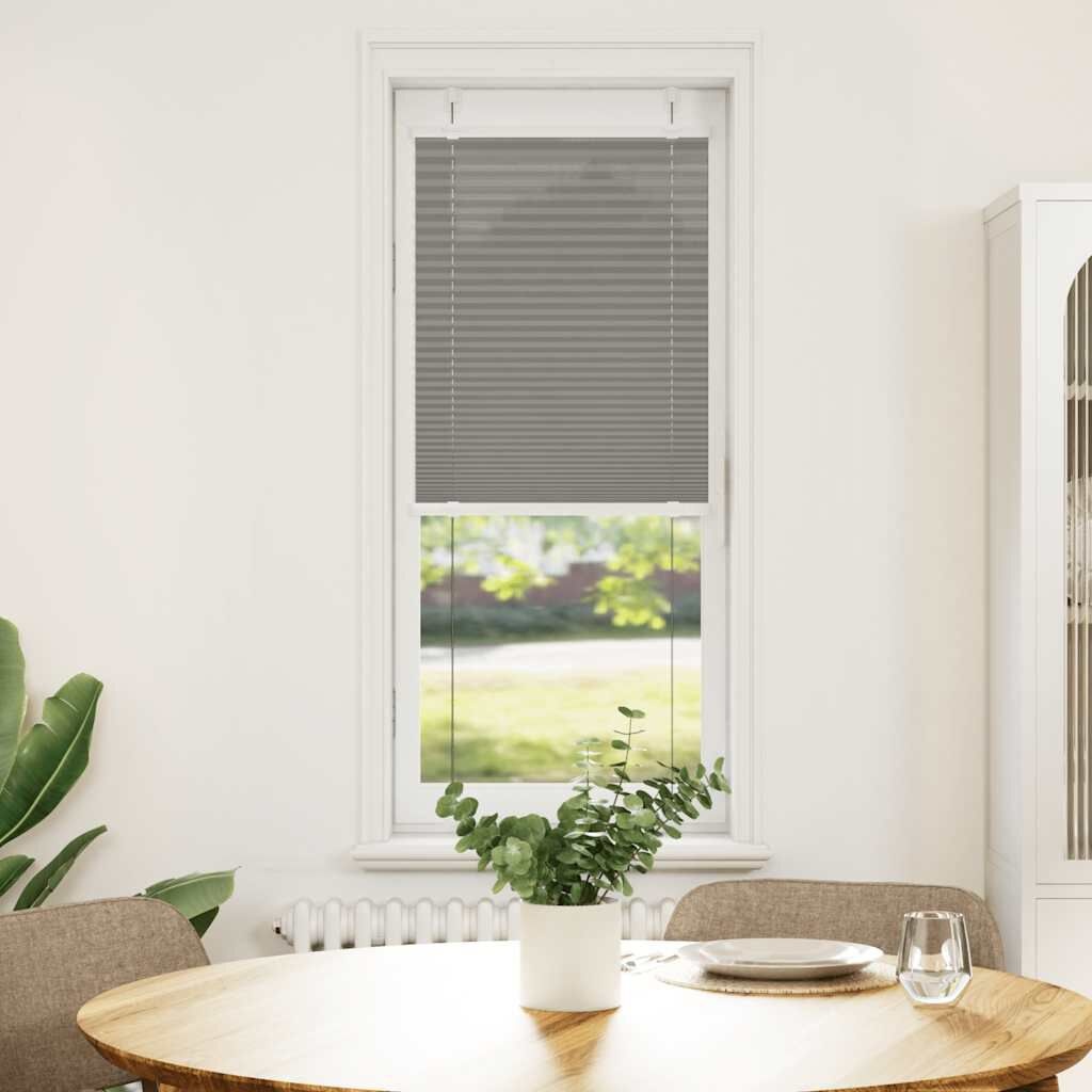 vidaXL Antraciet Plissé Rolgordijn 45x100 cm - 75% Korting