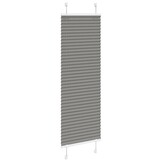 vidaXL Antraciet Plissé Rolgordijn 45x100 cm - 75% Korting