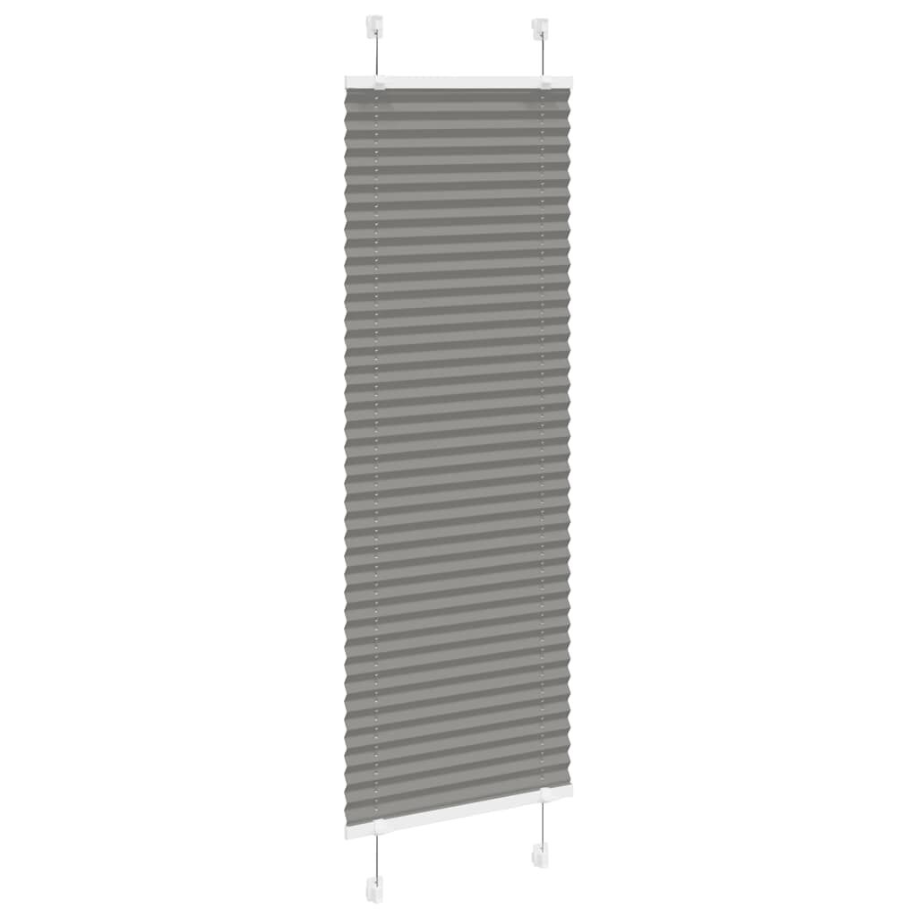 vidaXL Antraciet Plissé Rolgordijn 45x100 cm - 75% Korting