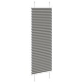 vidaXL Antraciet Plissé Rolgordijn 45x100 cm - 75% Korting
