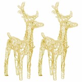 2x Acryl Rendieren - 80 LEDs Warmwit - 56% Korting!