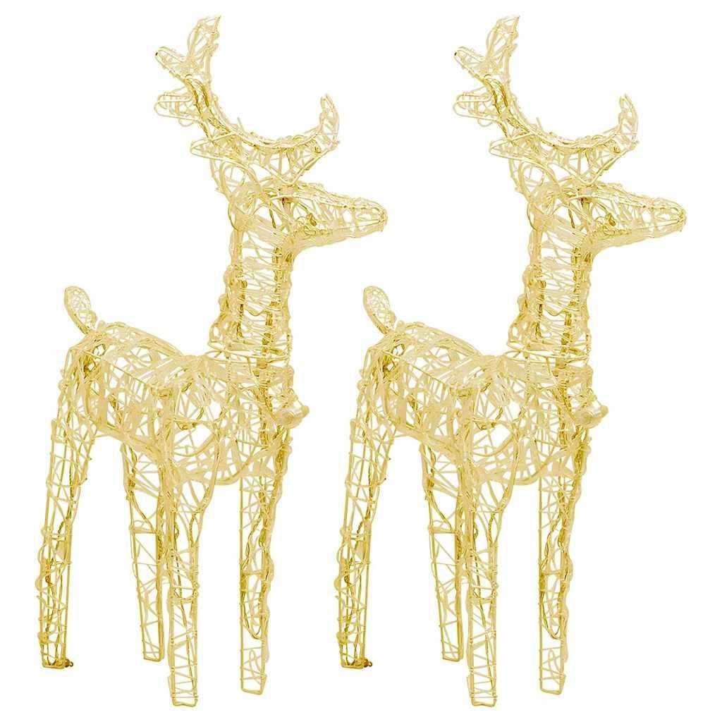 2x Acryl Rendieren - 80 LEDs Warmwit - 56% Korting!