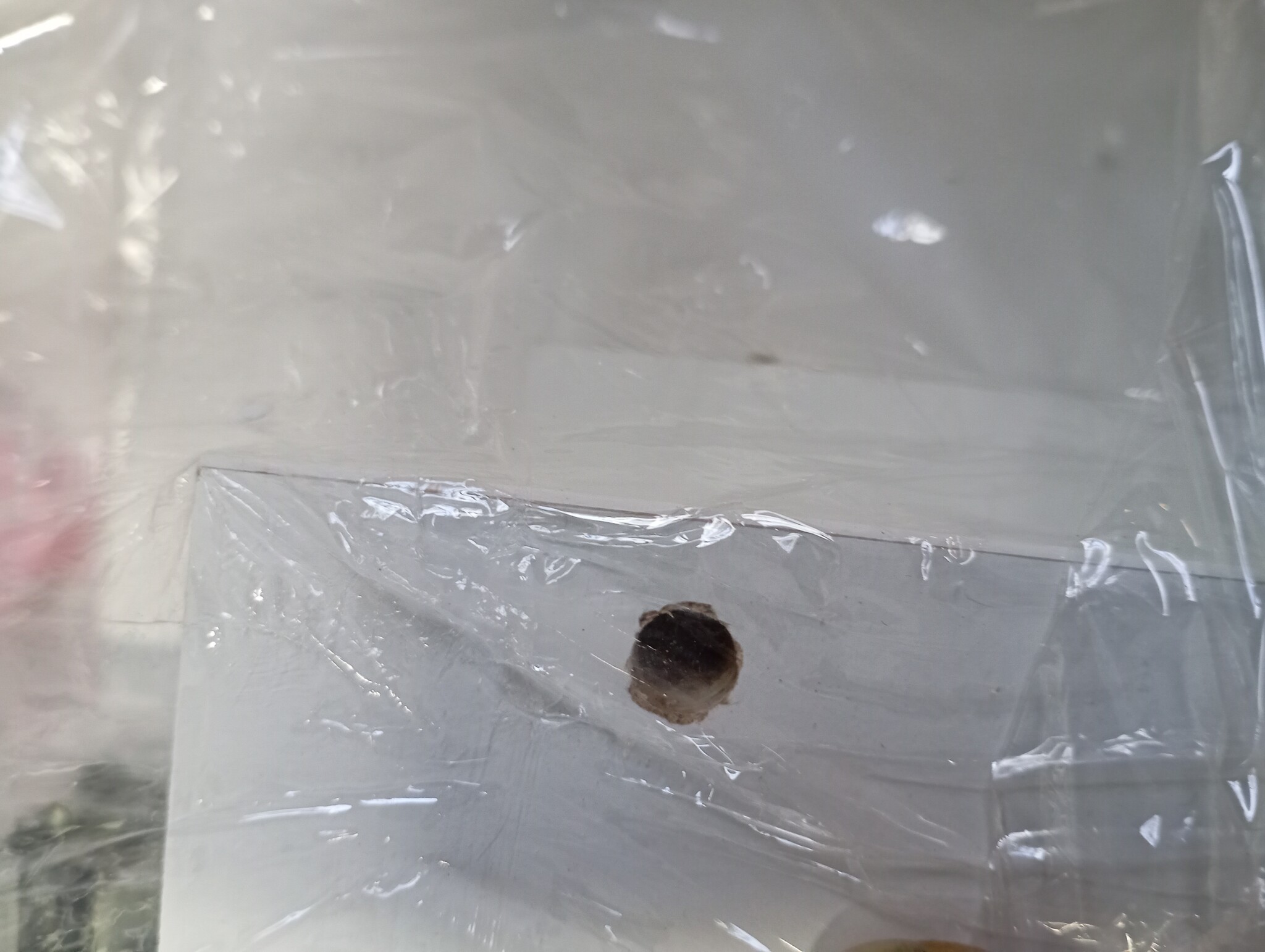 Wit Kinder Nachtkastje 71% Korting | Lade & Aanpasbare Greep