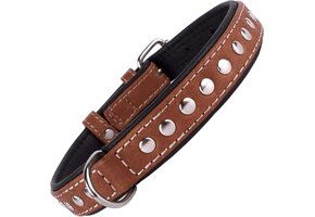 Handgemaakte Leren Hondenhalsband Studs - 60% Korting