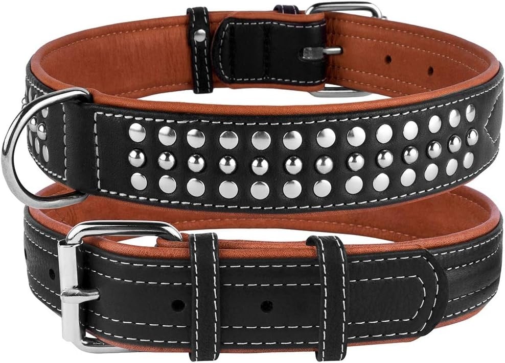 Zwarte Leren Halsband met Studs (51-56 cm) - 68% Korting