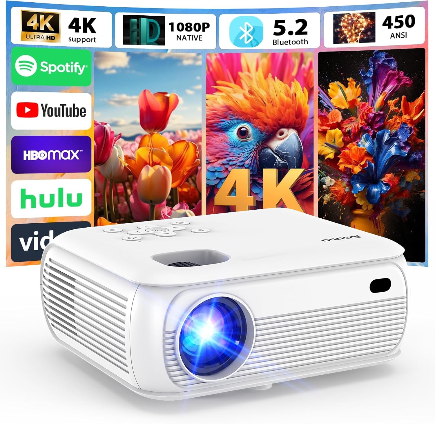 Witte X6 Projector