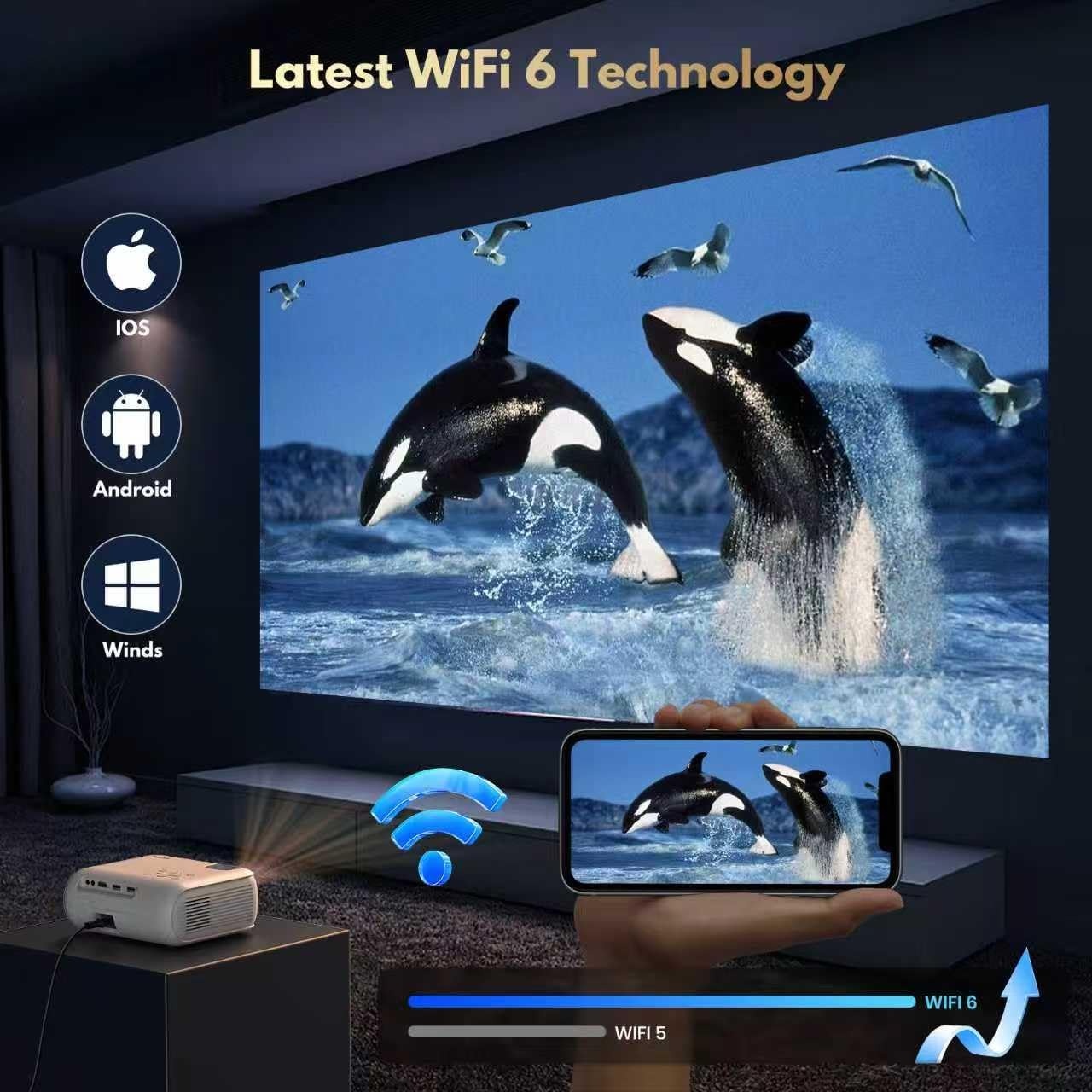 Witte X6 Projector