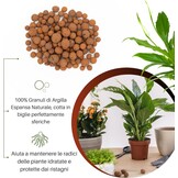 GebEarth® Geëxpandeerde Kleikorrels 1500g - pH Neutraal voor Semi-Hydrocultuur, Mulchen & Decoratie