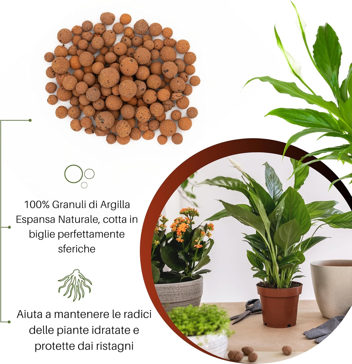 GebEarth® Geëxpandeerde Kleikorrels 1500g - pH Neutraal voor Semi-Hydrocultuur, Mulchen & Decoratie