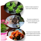 GebEarth® Geëxpandeerde Kleikorrels 1500g - pH Neutraal voor Semi-Hydrocultuur, Mulchen & Decoratie