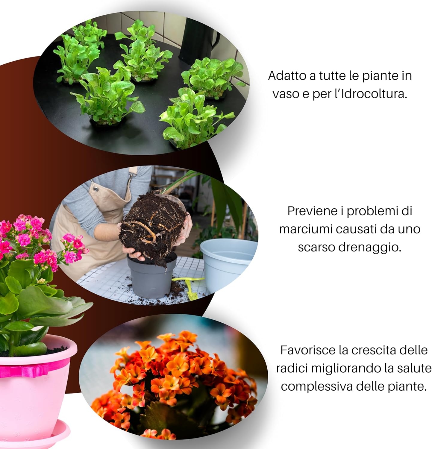 GebEarth® Geëxpandeerde Kleikorrels 1500g - pH Neutraal voor Semi-Hydrocultuur, Mulchen & Decoratie