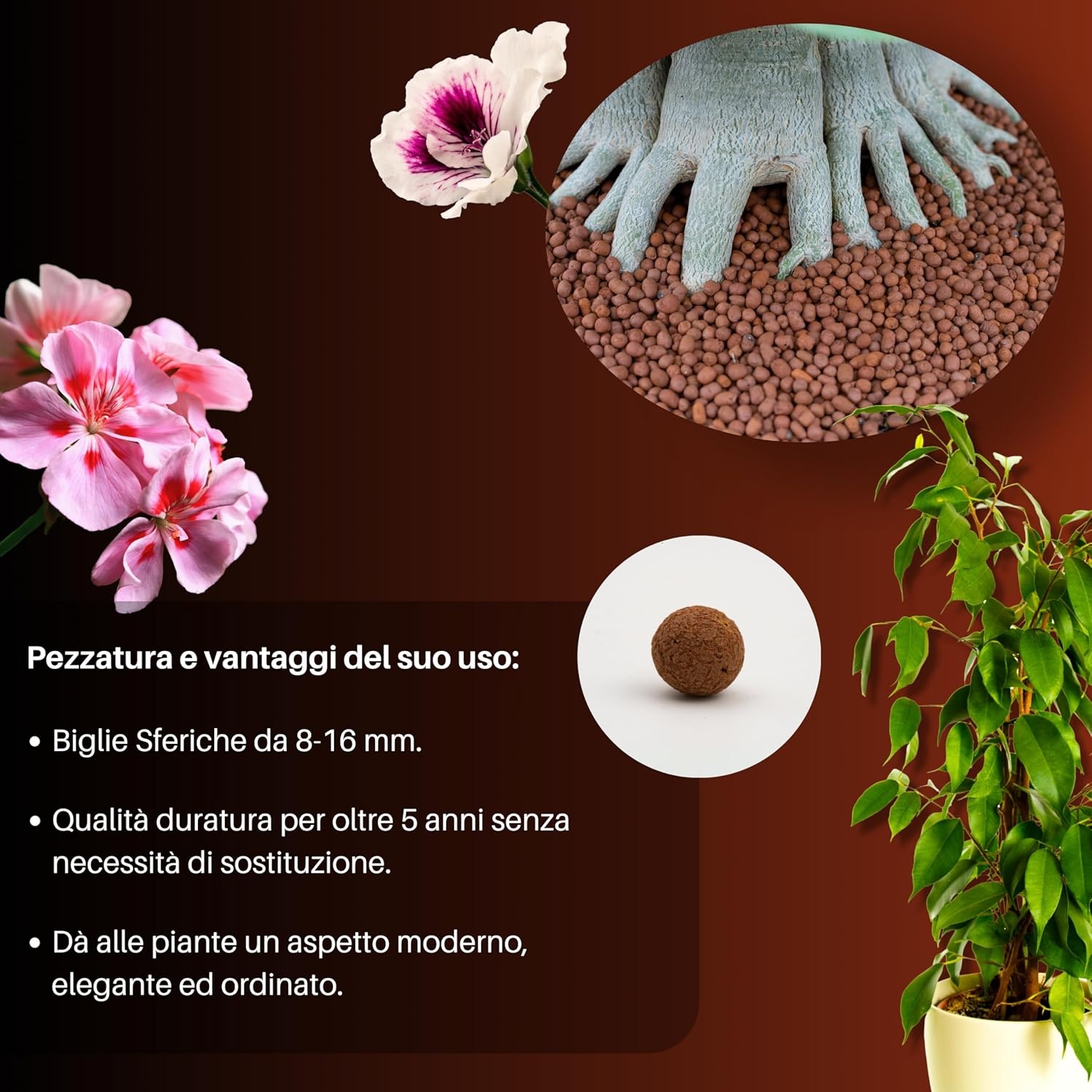 GebEarth® Geëxpandeerde Kleikorrels 1500g - pH Neutraal voor Semi-Hydrocultuur, Mulchen & Decoratie