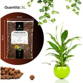 GebEarth® Geëxpandeerde Kleikorrels 1500g - pH Neutraal voor Semi-Hydrocultuur, Mulchen & Decoratie