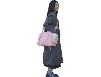 Luchtvaart Goedgekeurde Draagtas Kleine Huisdieren (35% Korting)