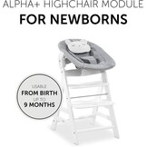 Wipstoel 2-in-1 met frame & Alpha+ module: vanaf geboorte, 33% korting