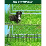 Metalen Anti-Graaf Hek (25 stuks) - 41% Korting!