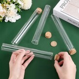Glazen Testbuisjes (10 Stuks, 110ml) - 72% Korting!