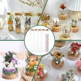 Glazen Testbuisjes 10 Stuks - 60% Korting