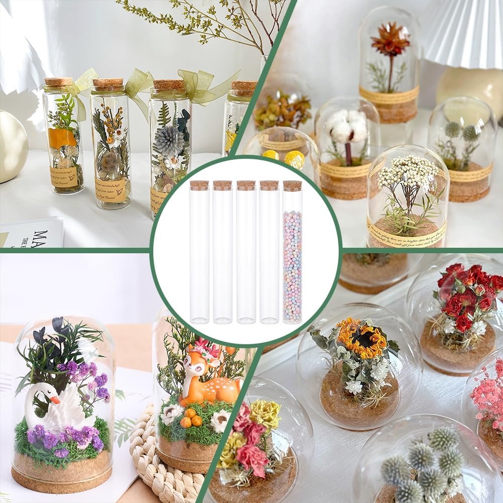 Glazen Testbuisjes 10 Stuks - 60% Korting