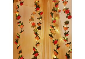 54% Korting: Rozenbloem Lichtslinger - 2 stuks, 60 LED