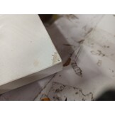 vidaXL Salontafel 57x57x30 cm bewerkt hout wit