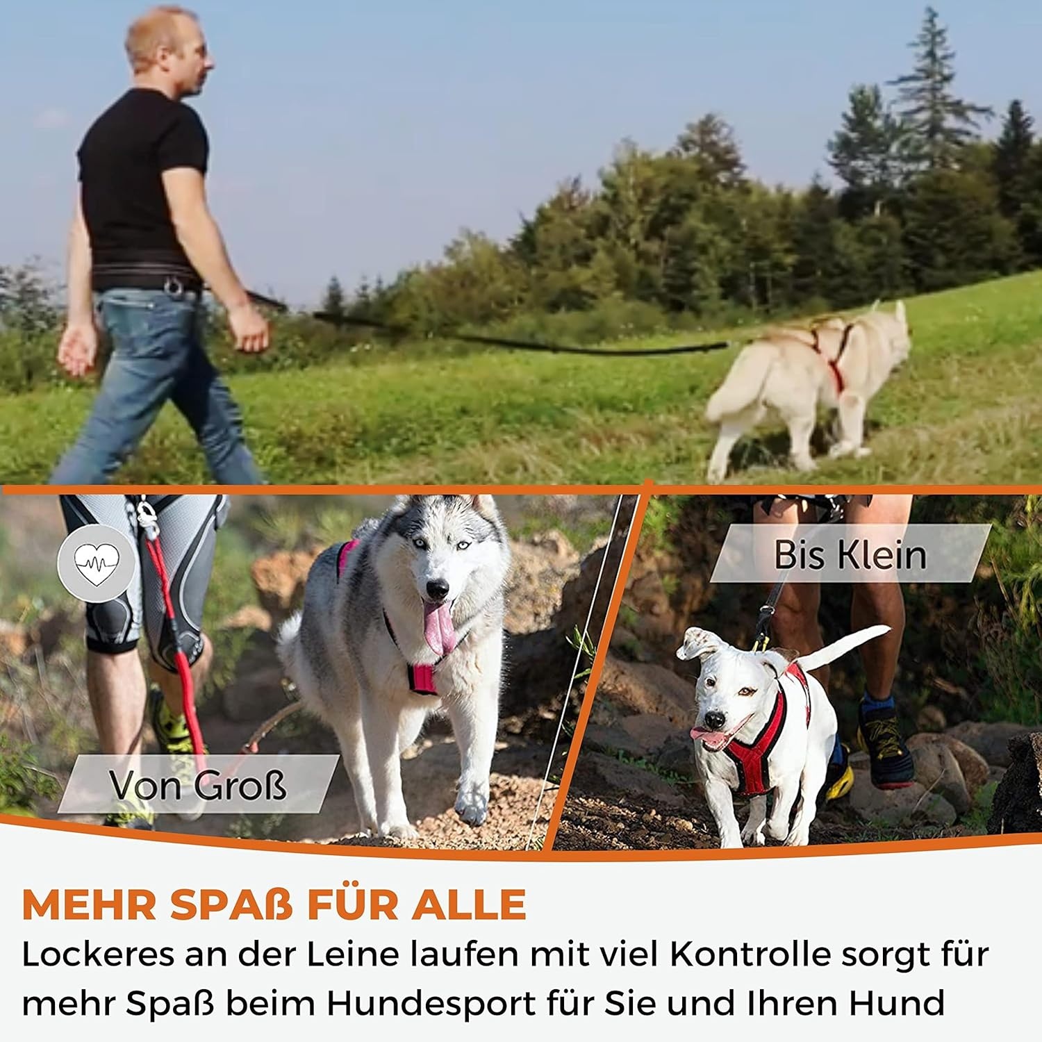 Hondentuig X-Back voor Canicross & Mushing - Zwart Neonorange